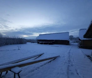 wmh-winter-6.jpg
