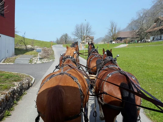 Horse-drawn carriage ride Ausfahrt mit der PferdekutscheRide in a horse-drawn carriageSortie en calèche