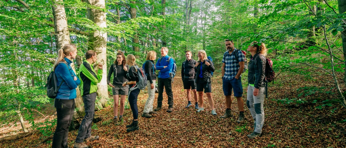 Wandergruppe in der Nordeifel