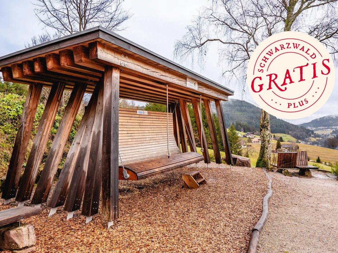 Panoramaschaukel Obertal