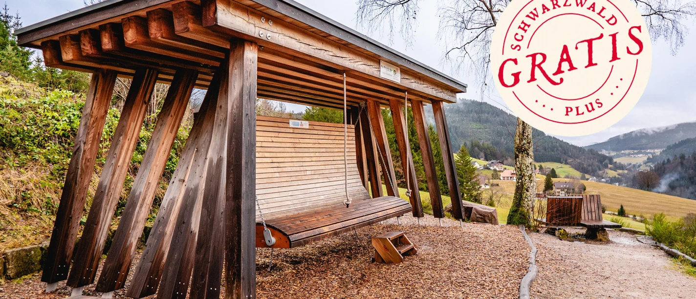 Panoramaschaukel Obertal