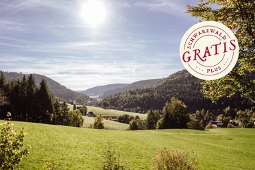 Landschaft