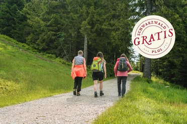 Eine Wandergruppe unterwegs in der Natur