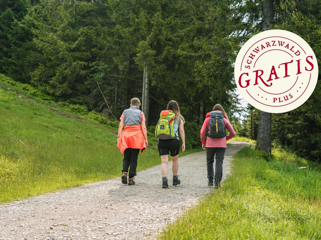 Eine Wandergruppe unterwegs in der Natur