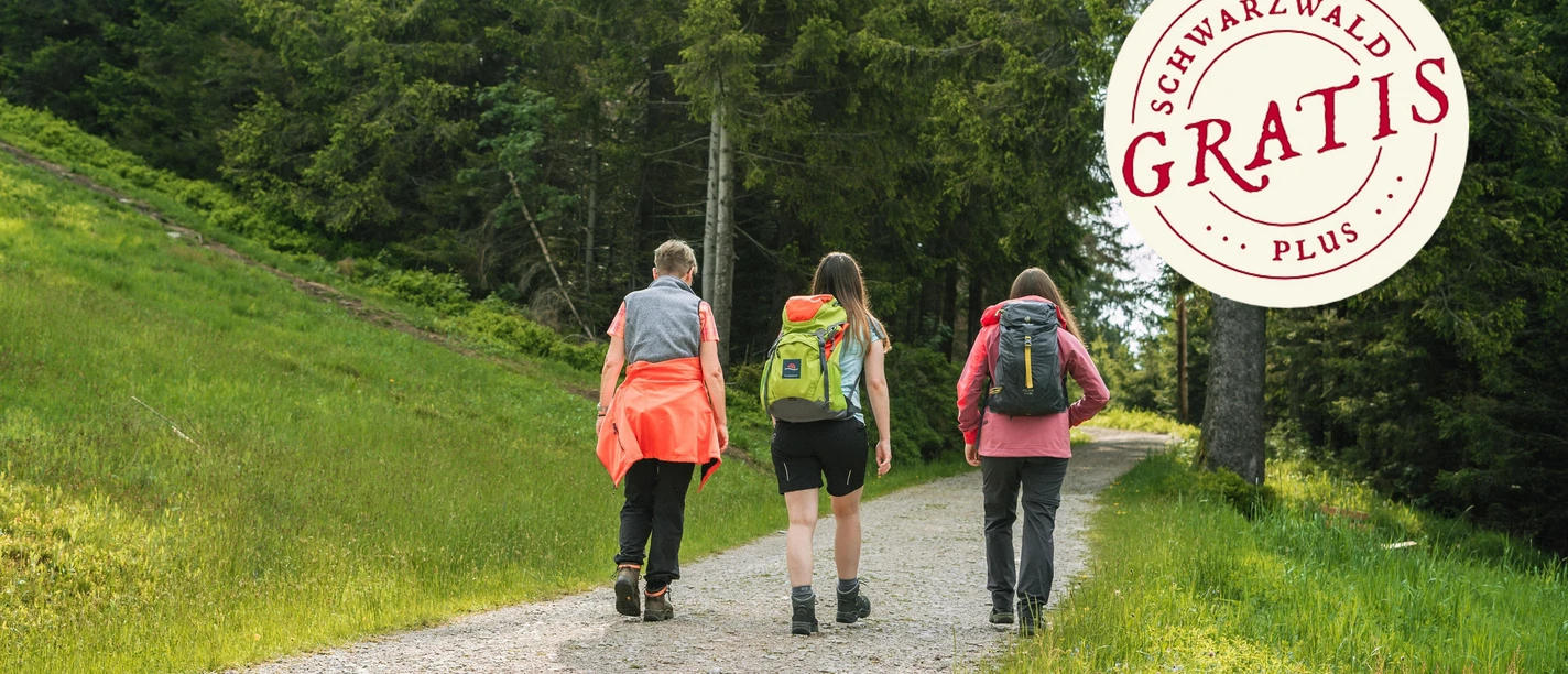Eine Wandergruppe unterwegs in der Natur