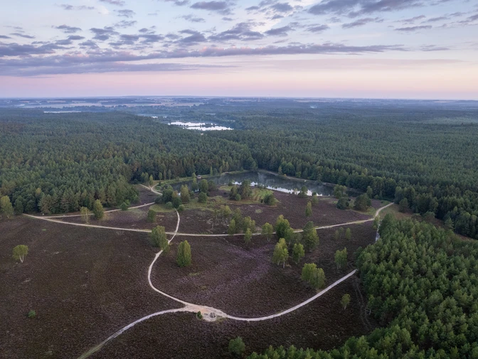 Heidefläche am Angelbecksteich zur Heideblüte barrierefrei Wandern rund um den Angelbecksteich zur Heideblüte