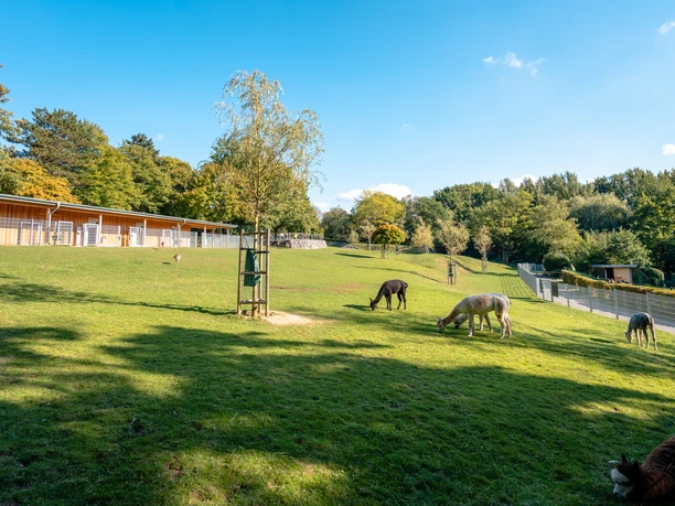 Aachener Tierpark (Euregiozoo)