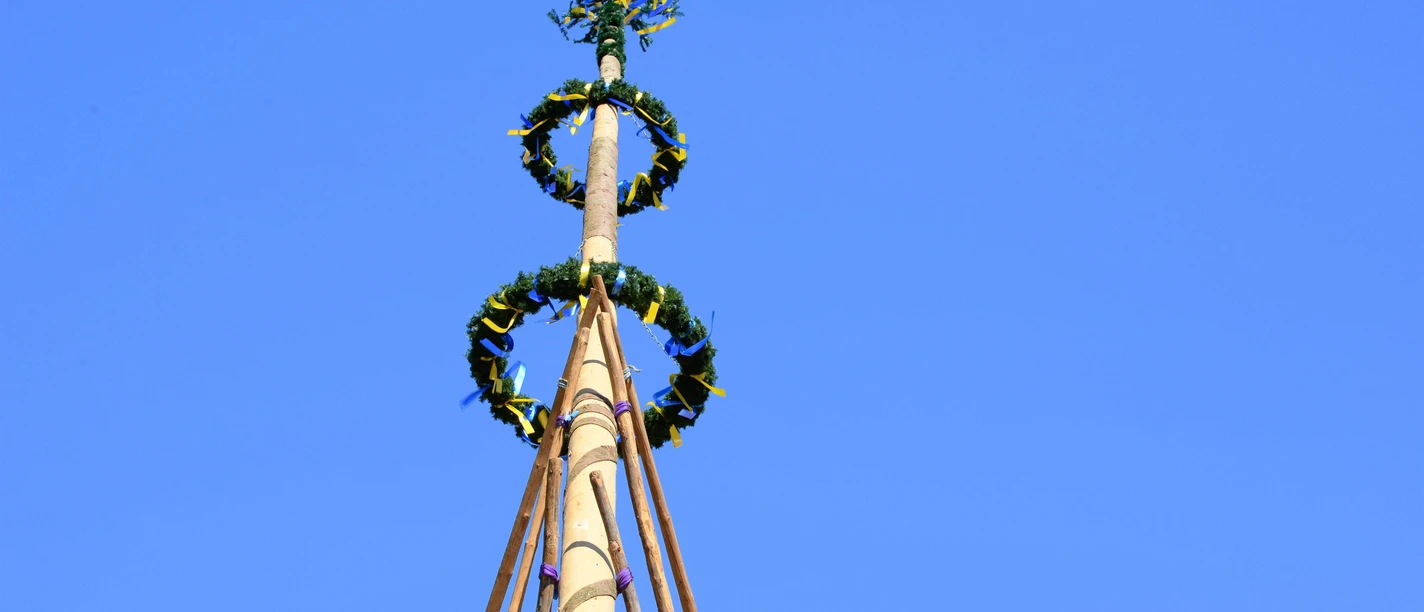 Maibaum