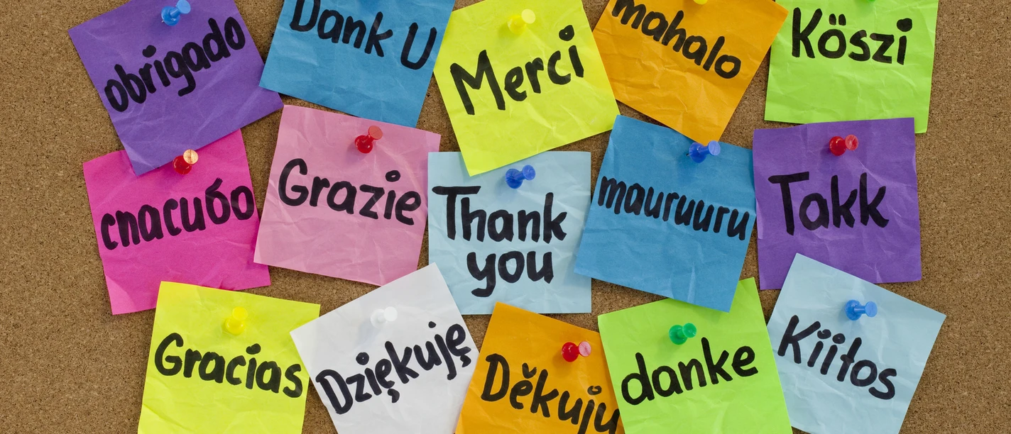 Sprachkurs Bunte Zettel mit "Danke" in verschiedenen Sprachen an einer Pinnwand.