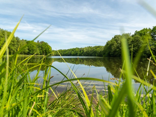Amelinghausen Lopausee Amelinghausen Lopausee