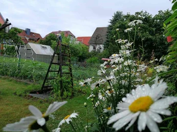 Barrierefreie Ferienwohnung B1 in Wernigerode - Garten Barrierefreie Ferienwohnung B1 in Wernigerode - Garten