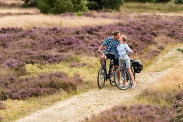 Auf dem Leine Heide Radweg durch die Heide Great bike tour through the Lüneburg Heath