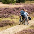 Auf dem Leine Heide Radweg durch die Heide Tolle Radtour durch die Lüneburger Heide