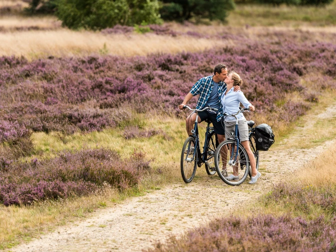 Auf dem Leine Heide Radweg durch die Heide Tolle Radtour durch die Lüneburger HeideGreat bike tour through the Lüneburg HeathFantastisk cykeltur gennem Lüneburger HeideGeweldige fietstocht door de Lüneburger Heide