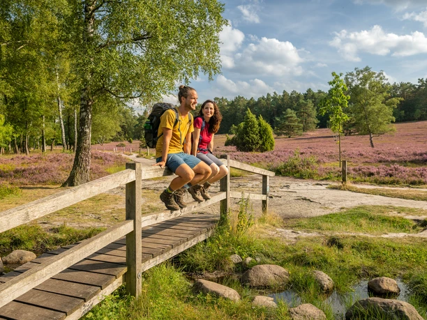 Wandelroute met Brunsberg en Büsenbachdal