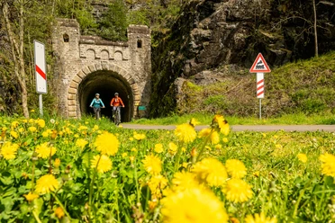 Enz-Radweg, alter Bahntunnel bei Neuerburg ET-2023-067-Enz-Radweg, Neuerburg- Eifel Tourismus GmbH, Dominik Ketz.jpg