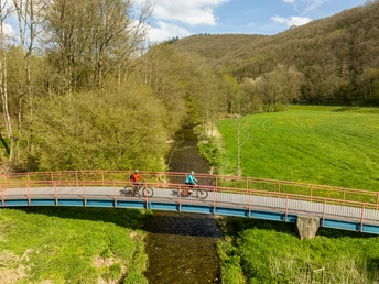 Idyllische Radtour an der Enz auf dem Enz-Radweg ET-2023-059-Enz-Radweg, Neuerburg- Eifel Tourismus GmbH, Dominik Ketz.jpg