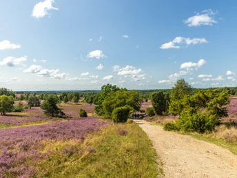 Wanderung auf der Heideschleife Wilseder Berg Hier wandert man besonders. Auf der Heideschleife Wilseder BergThis is a special place for hiking. On the Wilseder Berg heath loopDette er et særligt sted at vandre. På Wilseder Berg hede-sløjfenDit is een bijzondere plek om te wandelen. Op de Wilseder Berg heide rondwandeling