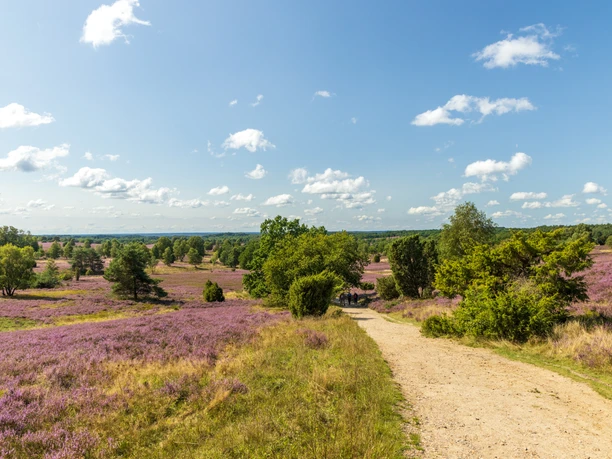 Wanderung auf der Heideschleife Wilseder Berg Hier wandert man besonders. Auf der Heideschleife Wilseder Berg