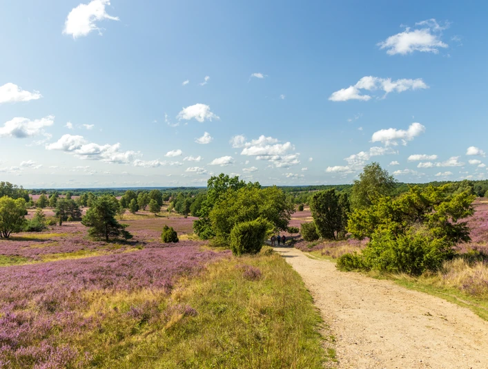 Wanderung auf der Heideschleife Wilseder Berg Hier wandert man besonders. Auf der Heideschleife Wilseder BergThis is a special place for hiking. On the Wilseder Berg heath loopDette er et særligt sted at vandre. På Wilseder Berg hede-sløjfenDit is een bijzondere plek om te wandelen. Op de Wilseder Berg heide rondwandeling