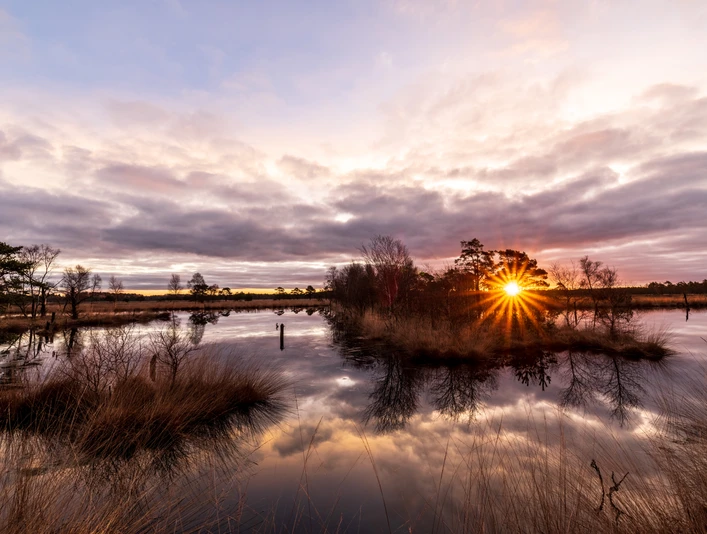 Heideschleife Pietzmoor Wanderung bei Sonnenaufgang Sonnenaufgang auf dem Wanderweg Heideschleife PietzmoorSunrise on the Heideschleife Pietzmoor hiking trailSolopgang på vandrestien Heideschleife PietzmoorZonsopgang op de wandelroute Heideschleife Pietzmoor