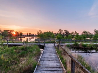 Heideschleife Pietzmoor auf Bohlenwegen Wandern auf Bohlenwegen der Heideschleife Pietzmoor SchneverdingenHiking on the boardwalks of the Pietzmoor Schneverdingen heathland loopVandring på boardwalks i Pietzmoor Schneverdingen hedesløjfeWandelen op de promenades van de Pietzmoor Schneverdingen heidelus