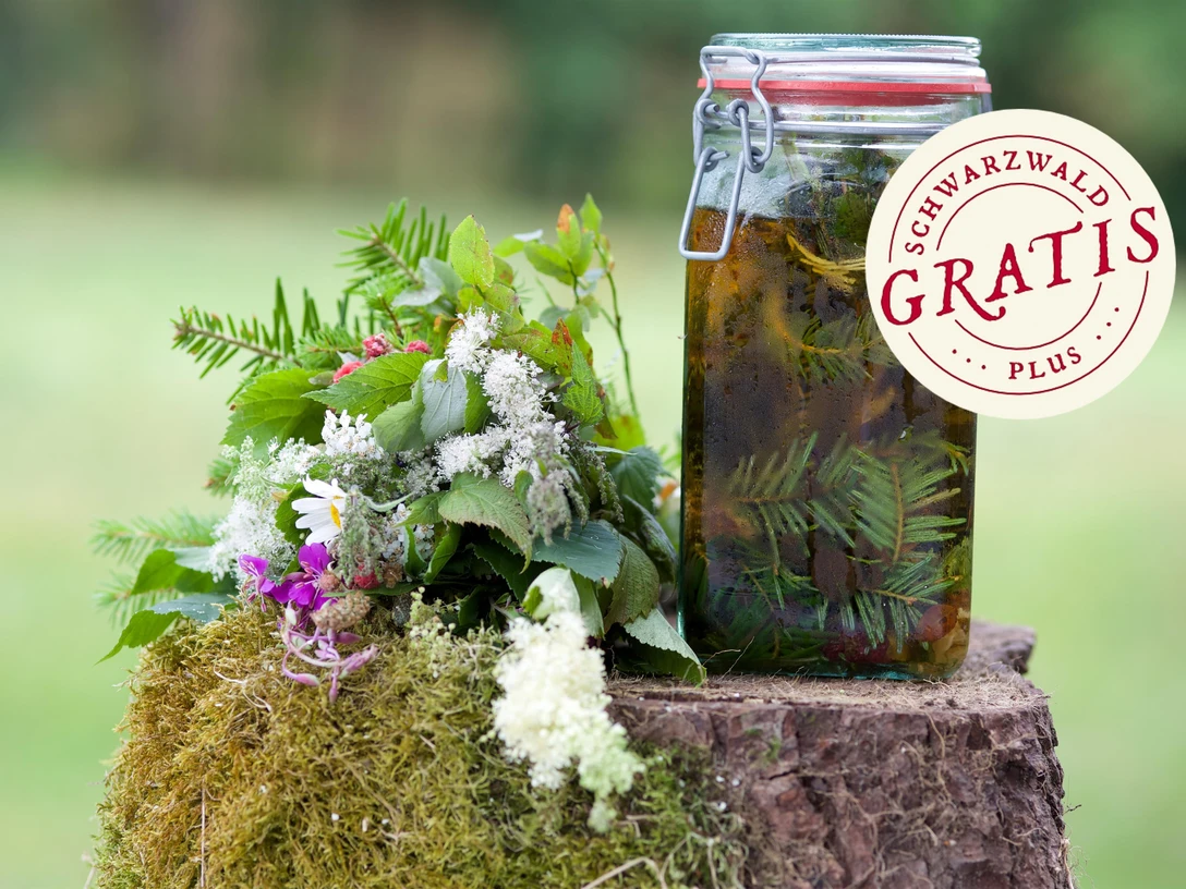 Kulinarische Wildpflanzenwanderung