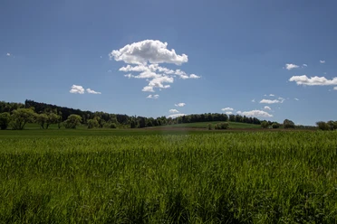 Blick Siedlung Prinzessinnengarten