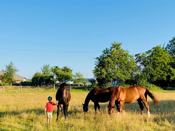 Gasthof zur Niedermühle | Lichtenau-Kleinenberg