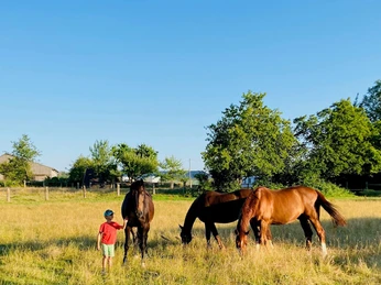 Gasthof zur Niedermühle | Lichtenau-Kleinenberg Gasthof zur Niedermühle | Lichtenau-Kleinenberg