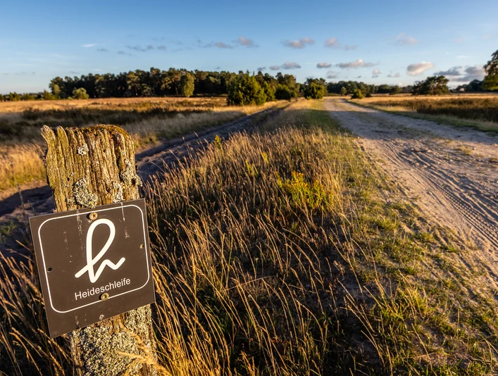 Beschilderung Heideschleife Heideschleife am Tütsberg Heath loop on the Tütsberg Hedesløjfe på Tütsberg Heidelus op de Tütsberg
