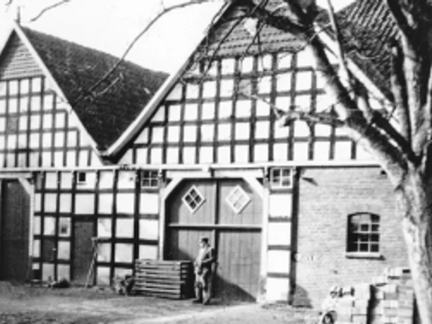 bildanzeige-1.jpg Fachwerkhof mit drei Gebäuden, Giebelseiten, eine Person am Tor, Baum im Vordergrund. 20. Jahrhundert.