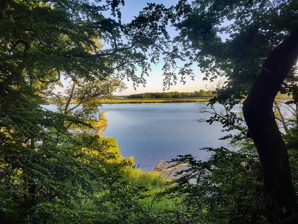 Blick auf die Elbe Durch die Bäume schaut man auf die Elbe.