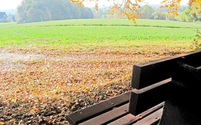 tuddental_02.jpg Holzbank am Waldrand mit Blick auf eine sonnenbeschienene Wiese und herbstlich gefärbte Bäume.