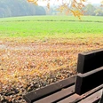 tuddental_02.jpg Holzbank am Waldrand mit Blick auf eine sonnenbeschienene Wiese und herbstlich gefärbte Bäume.