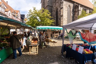Herbst- und Bauernmarkt 2023-50.jpg