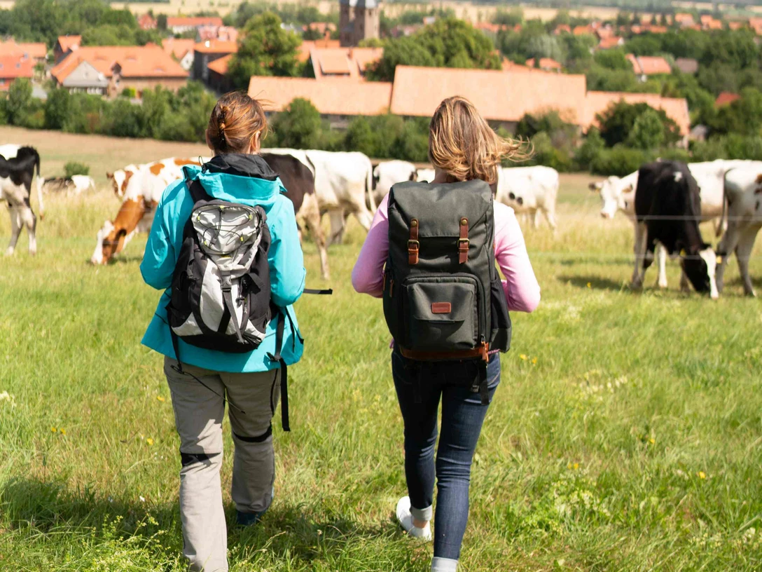 Klosterwanderweg mit Blick auf das Kloster Drübeck Klosterwanderweg mit Blick auf das Kloster Drübeck