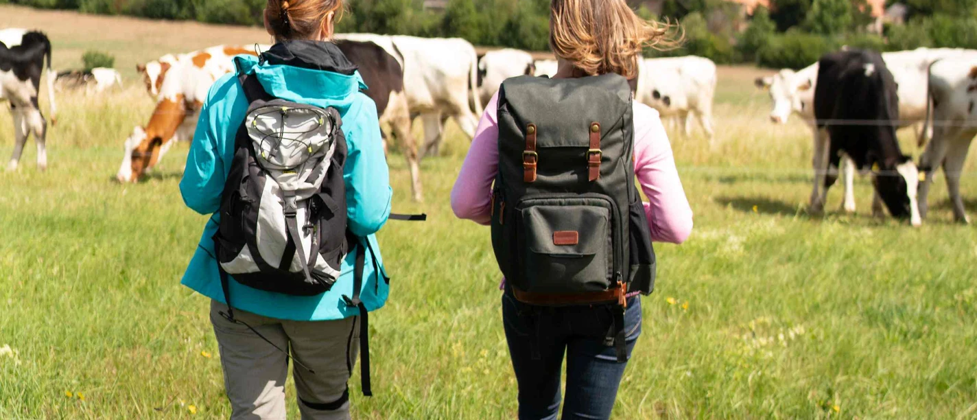 Klosterwanderweg mit Blick auf das Kloster Drübeck Klosterwanderweg mit Blick auf das Kloster Drübeck