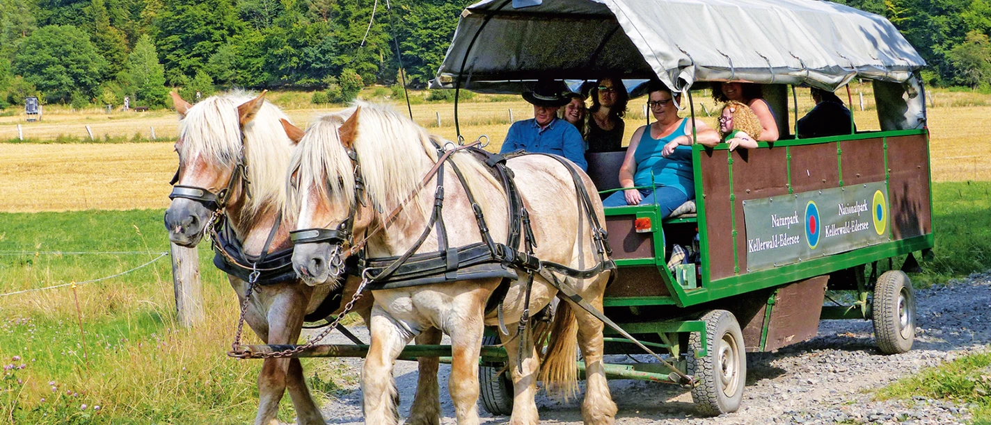 Planwagenfahrt_Nationalparkamt.png