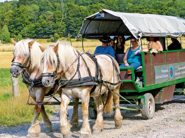 Planwagenfahrt_Nationalparkamt.png