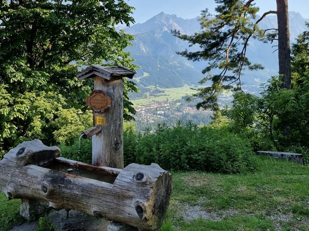 Brunnen am Grasberg Holzbrunnen am Waldrand mit Blick auf ein Tal und umliegende Berge in klarer Morgenluft