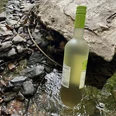 Weinwanderung mit Daniel Sieper Weinflasche mit grünem Verschluss steht in einem flachen Bachbett, umgeben von Steinen und Blättern.
