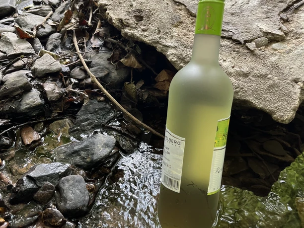 Weinwanderung mit Daniel Sieper Weinflasche mit grünem Verschluss steht in einem flachen Bachbett, umgeben von Steinen und Blättern.
