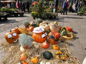 Heidemarkt Aurich Heidemarkt Aurich