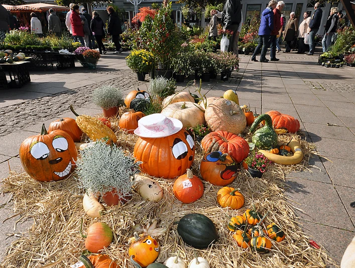 Heidemarkt Aurich Heidemarkt Aurich