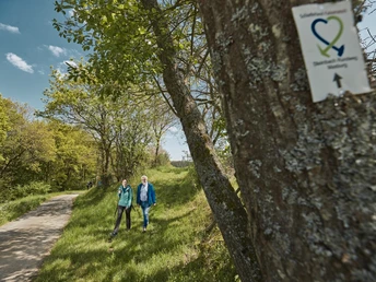 Wanderung entlang des Steinbach Rundweg Masburg