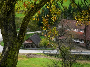 Blick auf die Benz-Mühle im Unterwasser