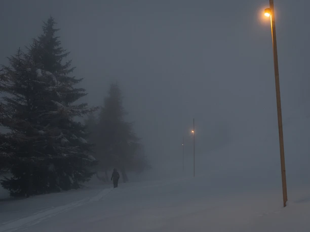Lichterweg Riederalp Galerie