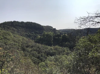 Wanderung rund um Manderscheid