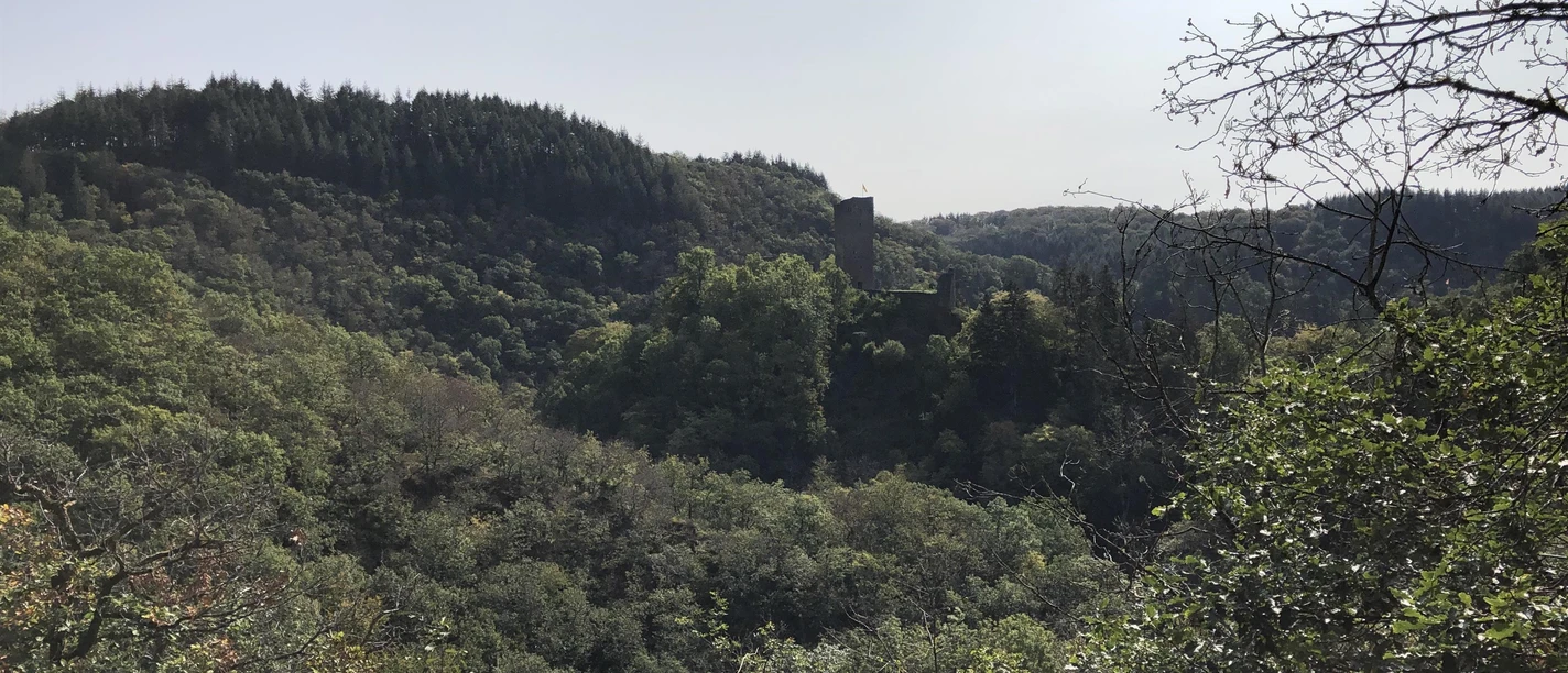 Wanderung rund um Manderscheid